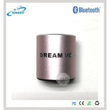 Dream Voice Portable Wireless Mini Subwoofer Bluetooth Lautsprecher mit Mikrofon